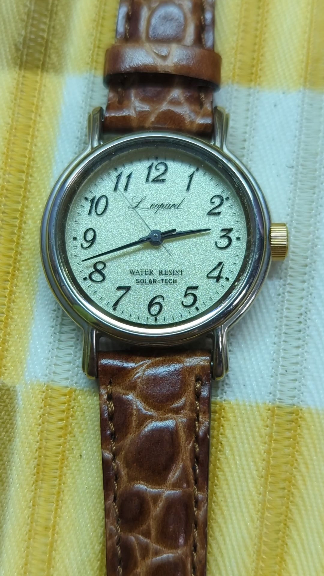 Citizen Leopard E031-S027055 Solar-Tech Vintage Wristwatch, 26.8 mm Case