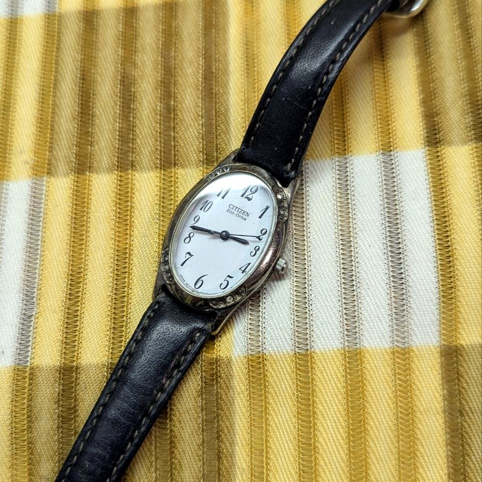 Citizen Eco-Drive E031-S022495