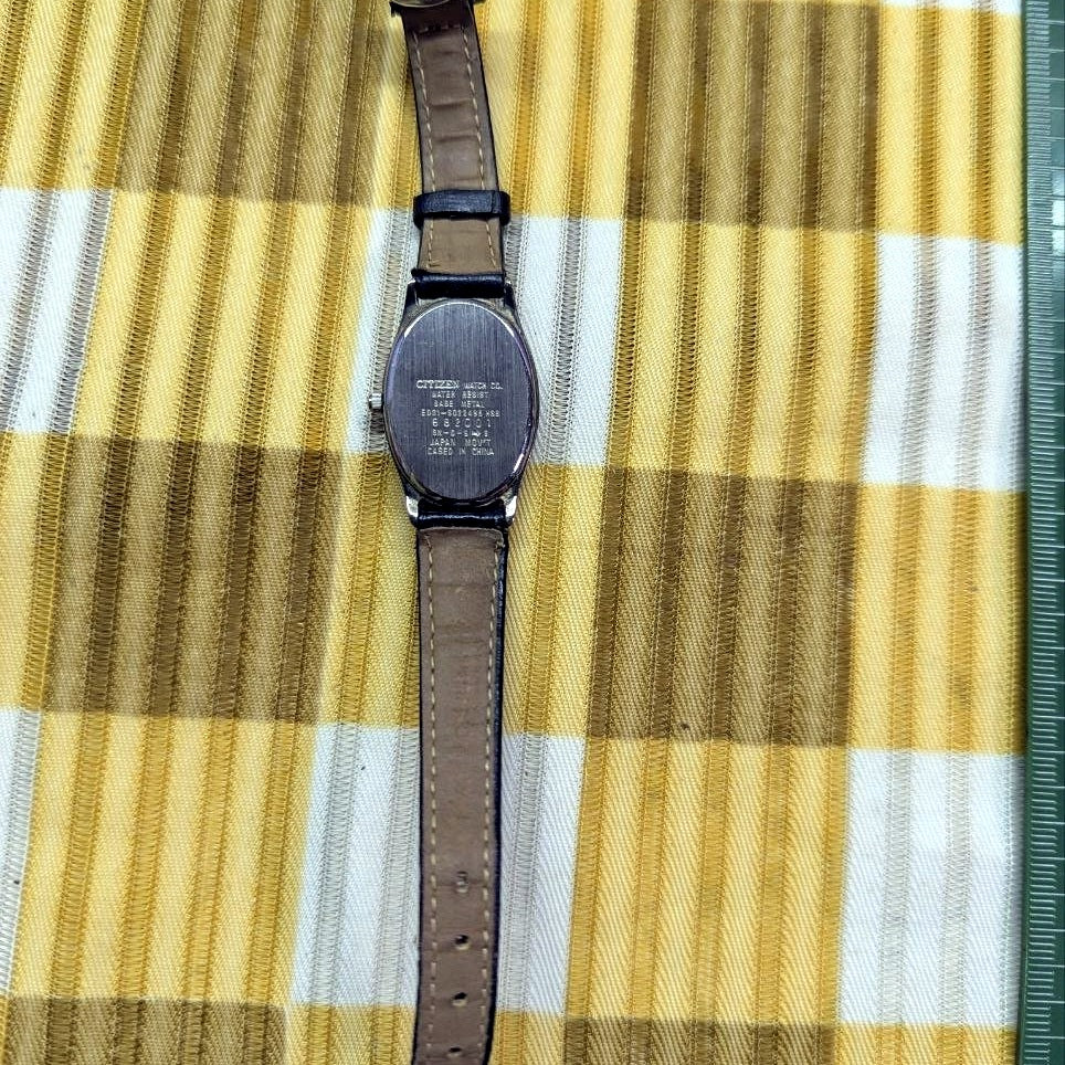 Citizen Eco-Drive E031-S022495